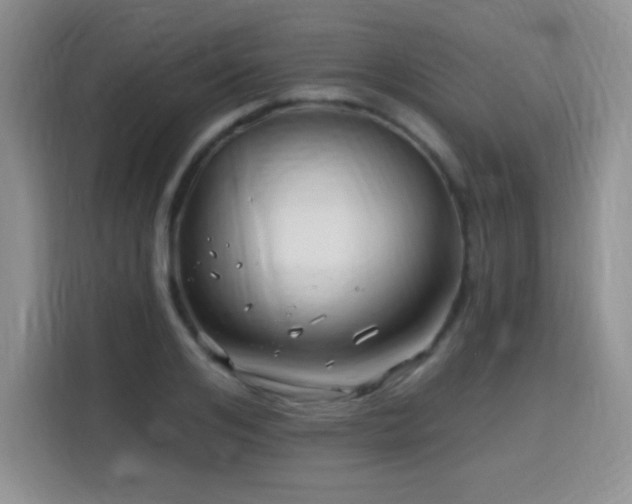 X0000115810984200911201415