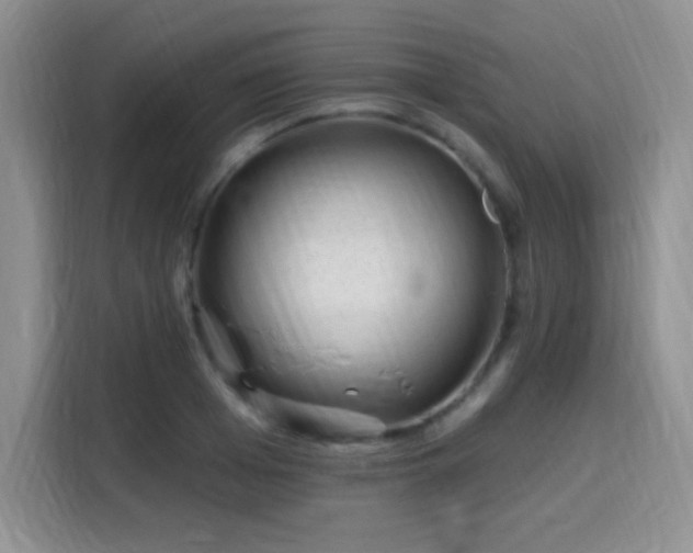 X0000115810985200911201415