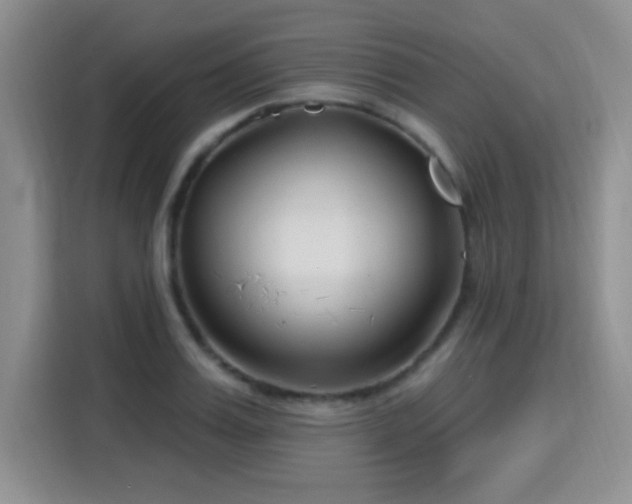 X0000115810987200911201415