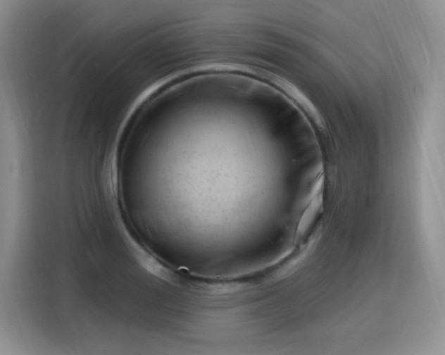 X0000115810988200911201415