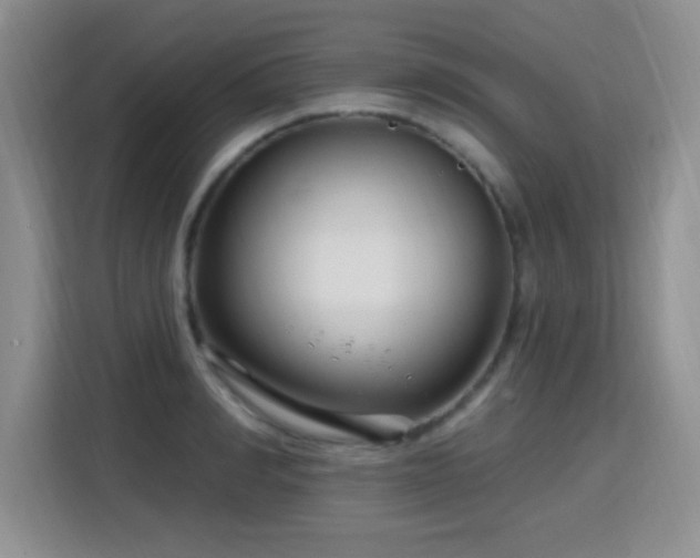 X0000115810990200911201415