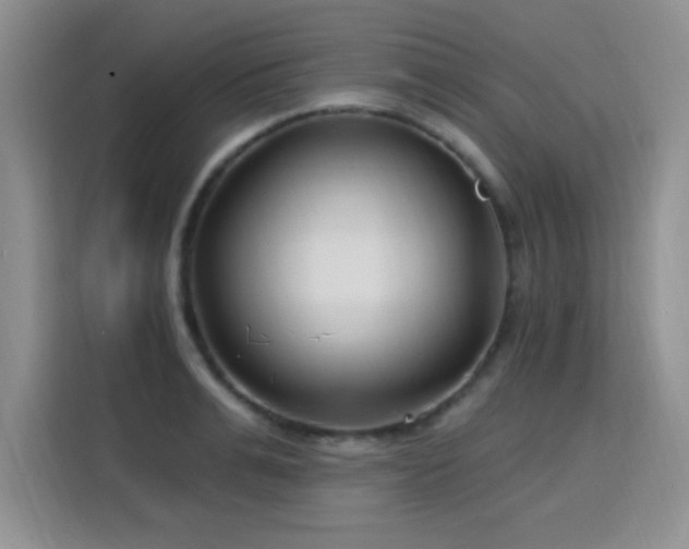 X0000115810991200911201415