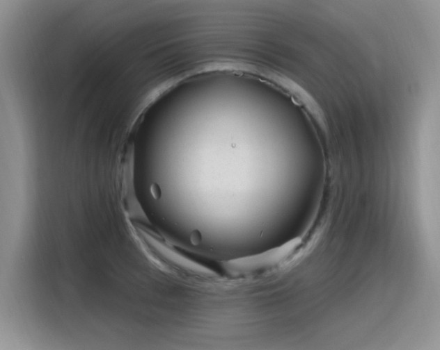 X0000115810993200911201415
