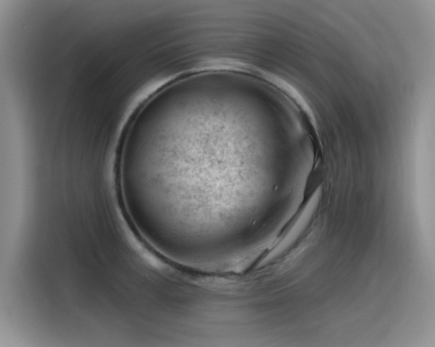 X0000115810995200911201415