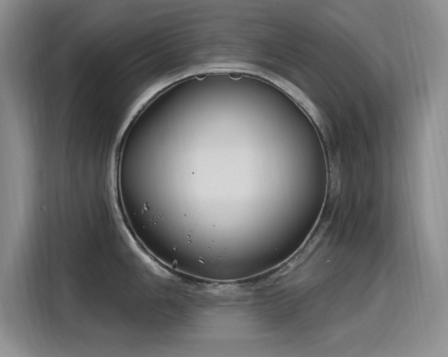X0000115811006200911201414