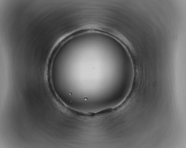 X0000115811020200911201414