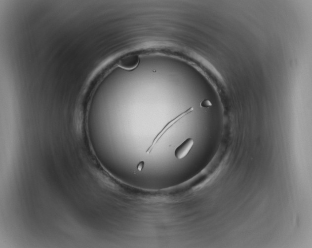X0000115811021200911201414