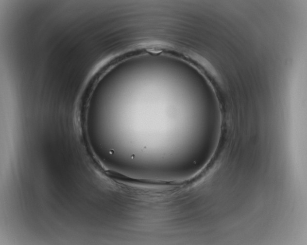 X0000115811022200911201414