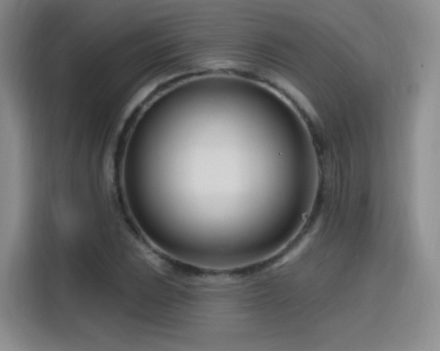 X0000115811023200911201414