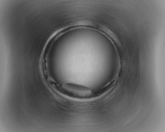 X0000115811024200911201414