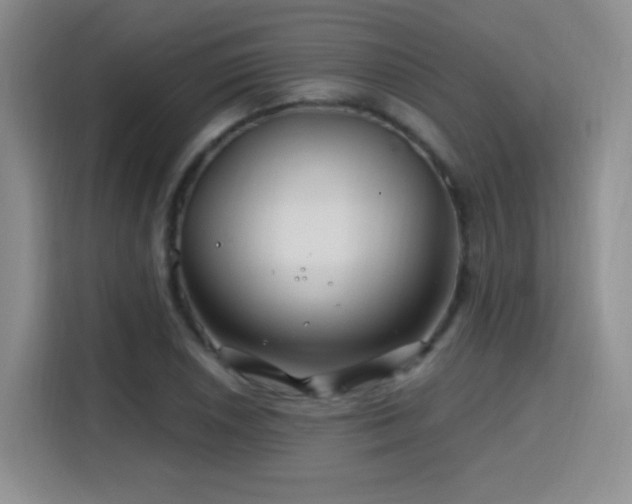 X0000115811026200911201414
