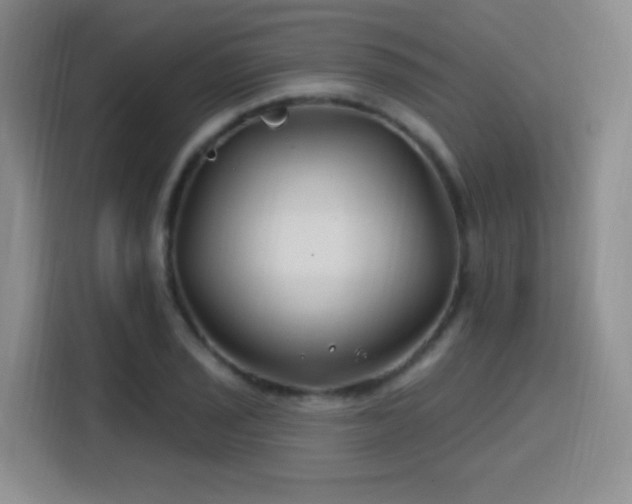 X0000115811029200911201414