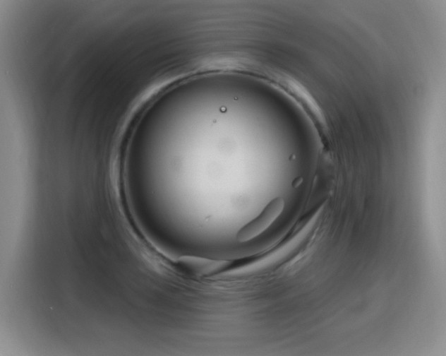 X0000115811035200911201414