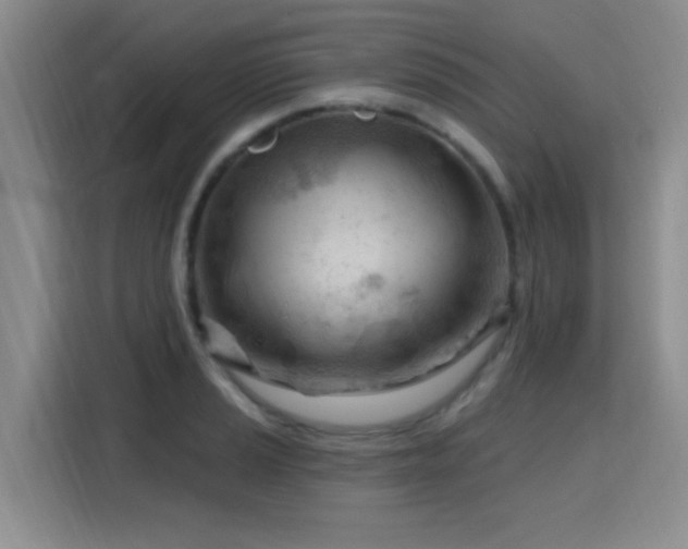X0000115811037200911201414