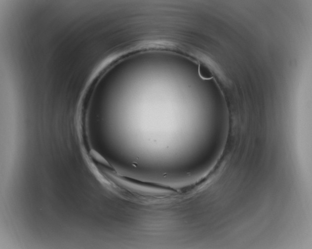 X0000115811038200911201414