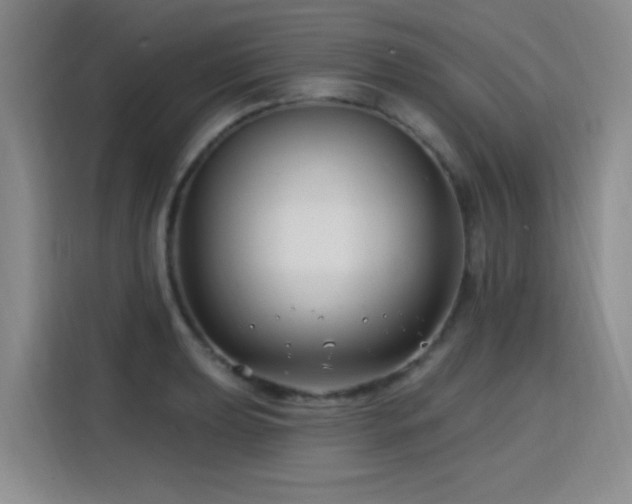 X0000115811039200911201414