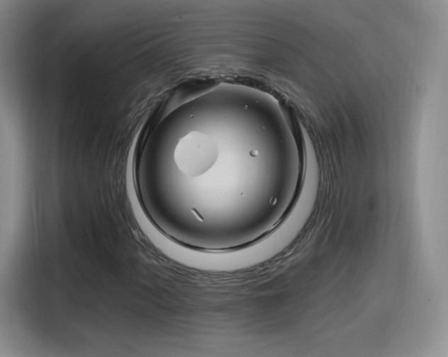 X0000115811060200911201414