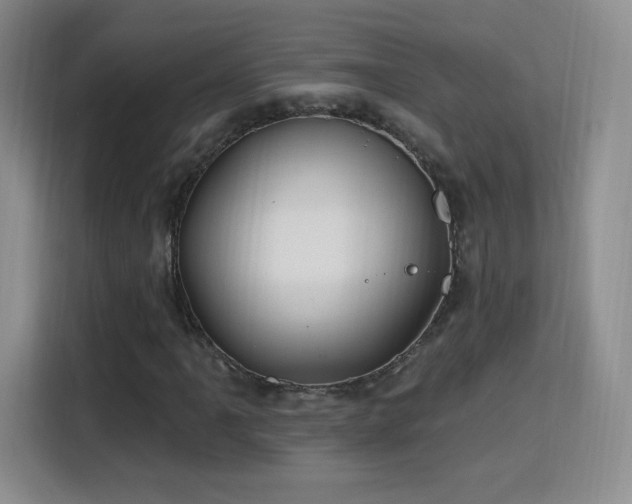 X0000115811061200911201414
