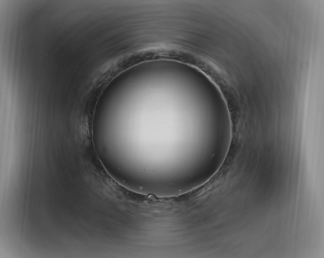 X0000115811062200911201414