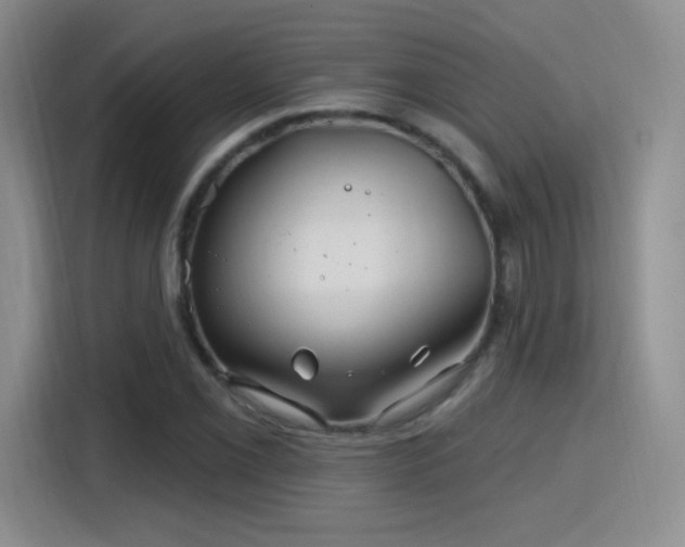 X0000115811069200911201414