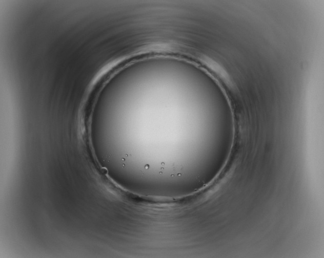 X0000115811070200911201414