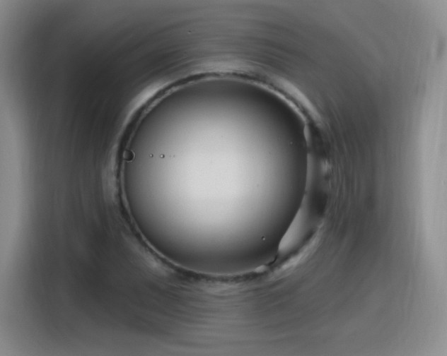 X0000115811071200911201414