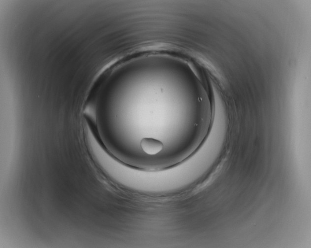 X0000115811073200911201414