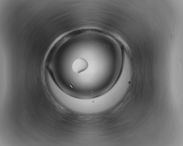 X0000115811076200911201414
