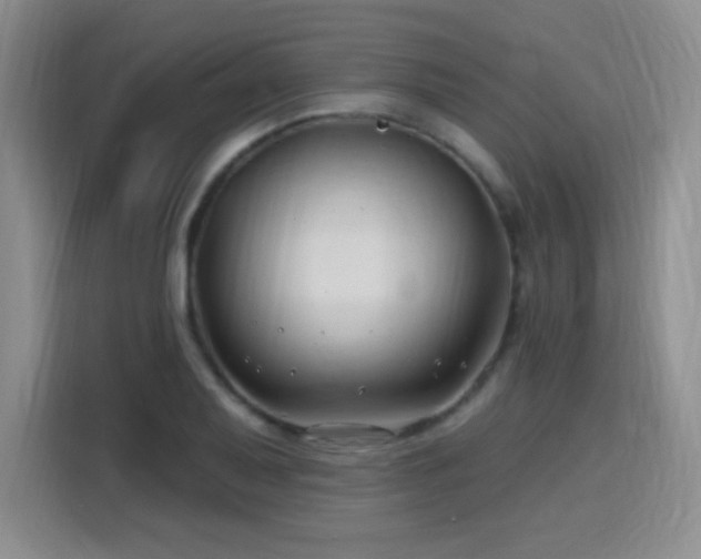 X0000115811079200911201414