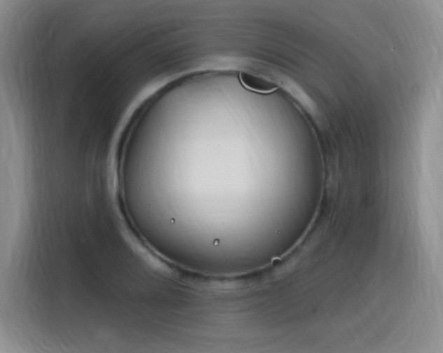 X0000115811080200911201414