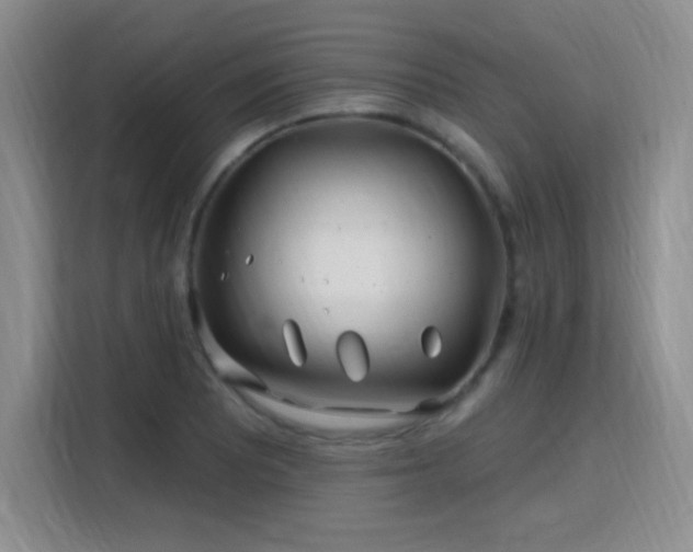 X0000115811081200911201413