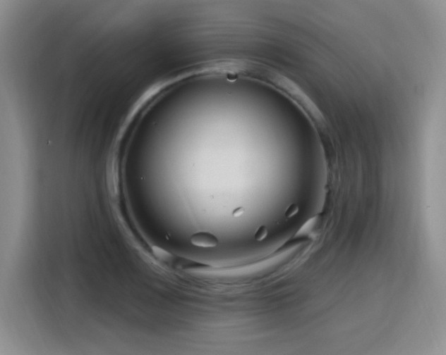 X0000115811083200911201413