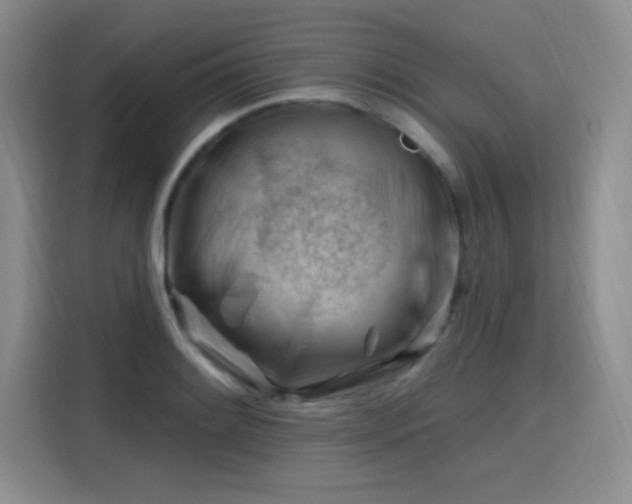 X0000115811084200911201413