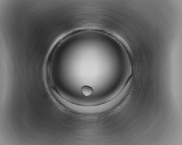 X0000115811085200911201413