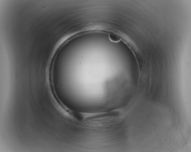 X0000115811086200911201413