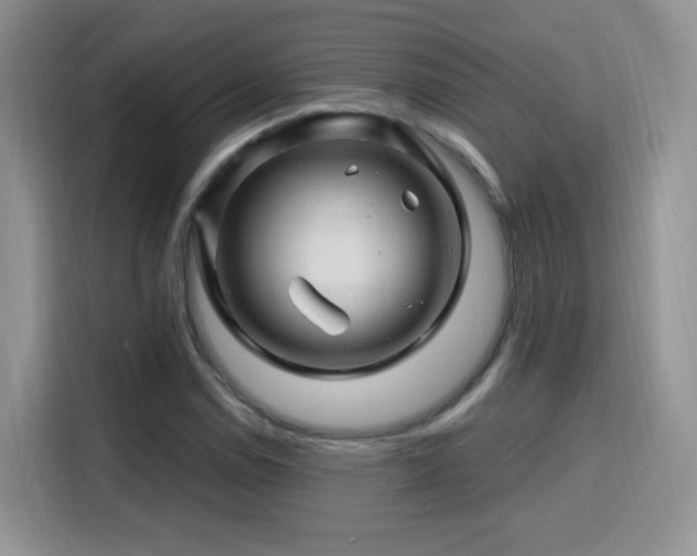 X0000115811114200911201413