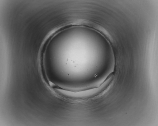 X0000115811122200911201413