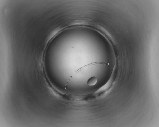 X0000115811129200911201413