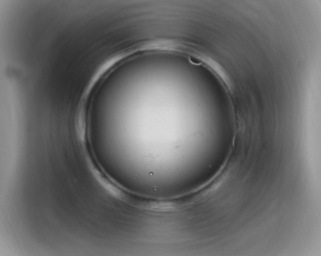 X0000115811131200911201413