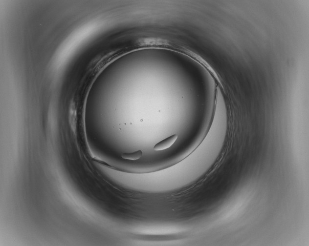 X0000115811151200911201413