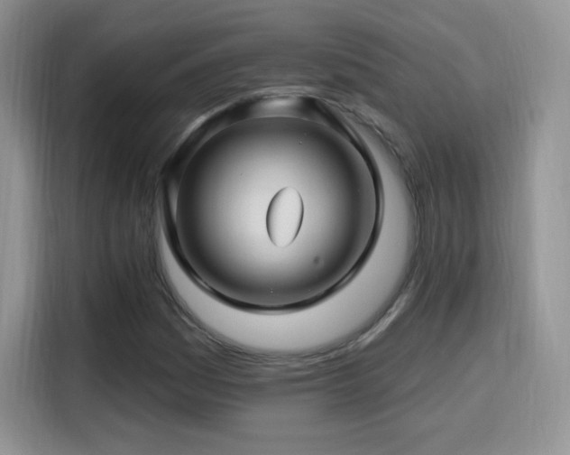 X0000115811161200911201412