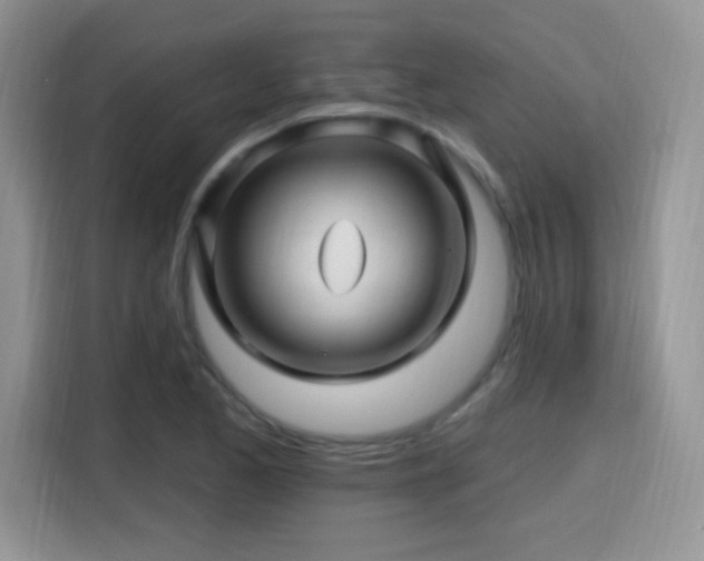 X0000115811173200911201412