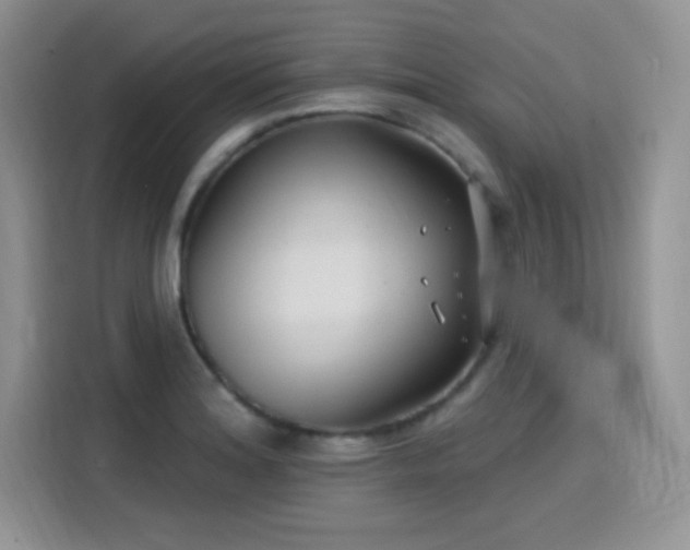 X0000115811180200911201412