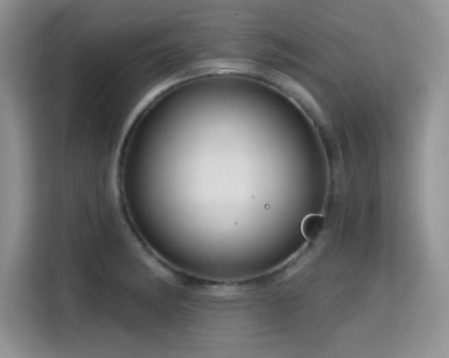 X0000115811182200911201412