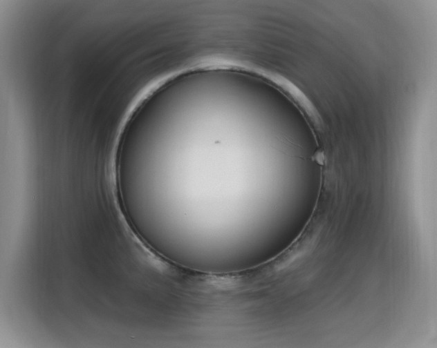 X0000115811191200911201412