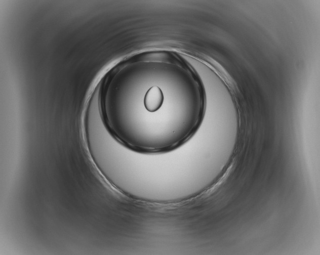X0000115811196200911201412