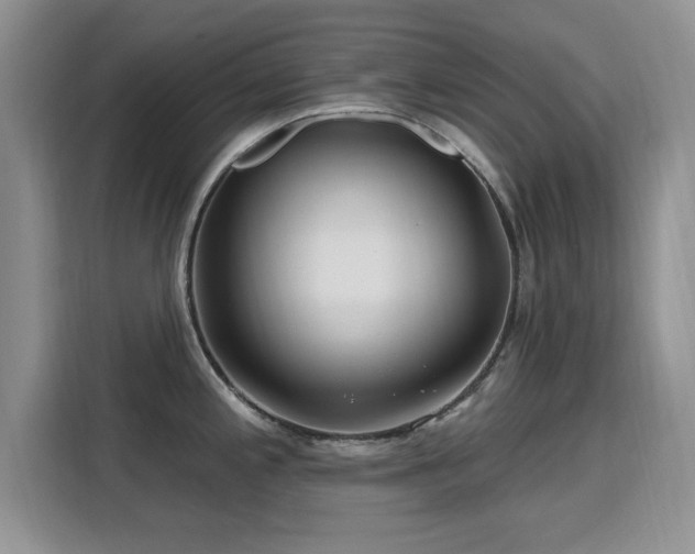 X0000115811197200911201412