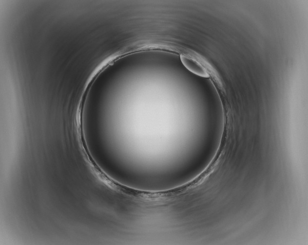 X0000115811198200911201412