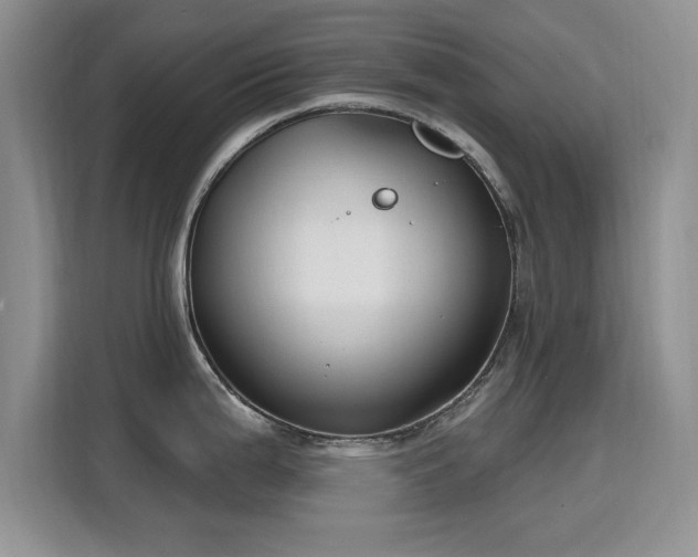 X0000115811199200911201412