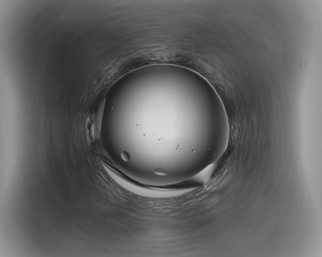 X0000115811202200911201411